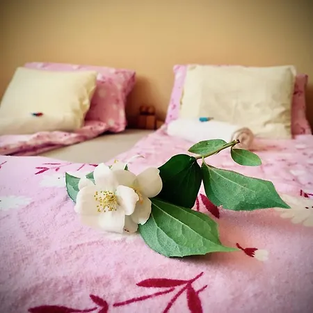 Napospatak Apartmanhaz Lejlighed Orfű